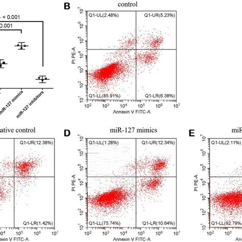 Mir Promoted Apoptosis In Mda Cells A The Apoptosis Rate Of