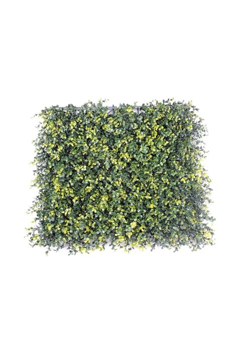 Artificial Boxwood Panel B