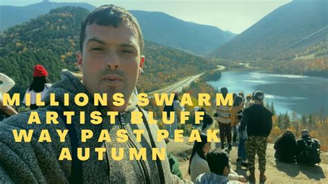 Millions Swarm Artist Bluff Trail Franconia Notch New Hampshire Way