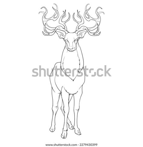 Red Deer Stag Standing Full Height Stock Vector Royalty Free 2279430399 Shutterstock