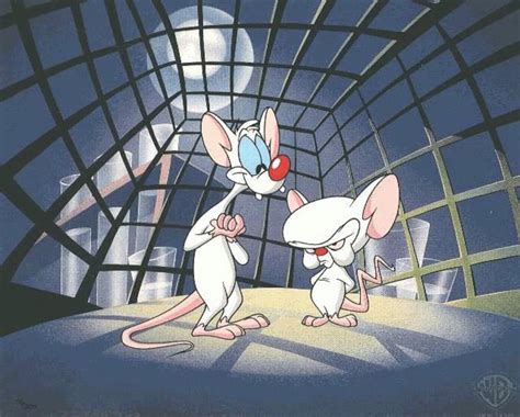 Pinky and the Brain Wallpaper - WallpaperSafari