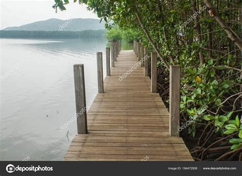 Wood Pieces Walkway River Mangrove Forest — Stock Photo © Jummie #194472508