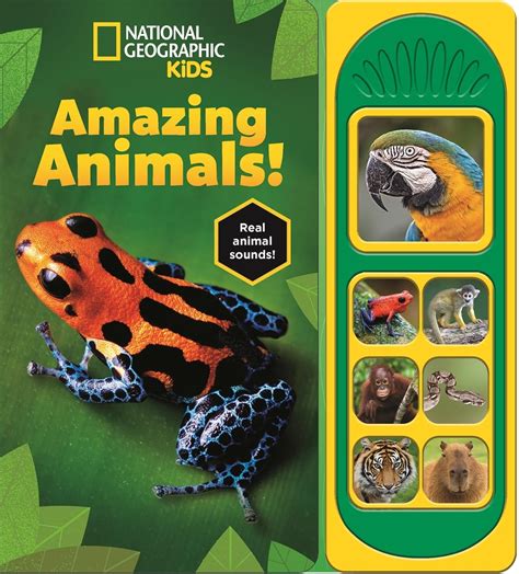 National Geographic Kids: Amazing Animals! Sound Book: PI Kids ...