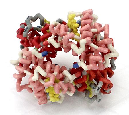 Hemoglobin - Proteopedia, life in 3D