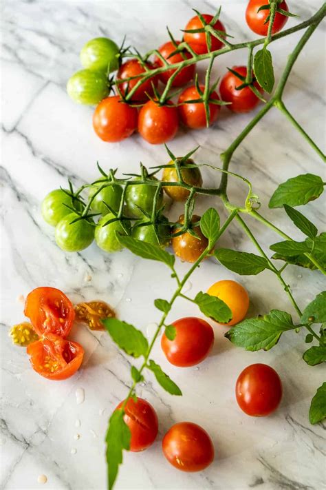 How To Save Tomato Seeds The Art Of Doing Stuff