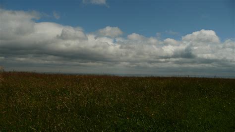 Grass And Sky Free Stock Photo Public Domain Pictures