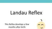 Landau Reflex on Pinterest