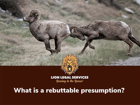 What Is A Rebuttable Presumption