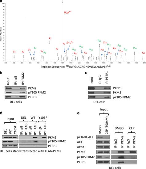 Pyrimidine Tract Binding Protein 1 Mediates Pyruvate Kinase M2