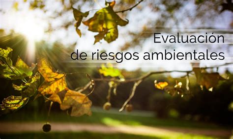 Evaluación De Riesgos Ambientales Daine Ambiental