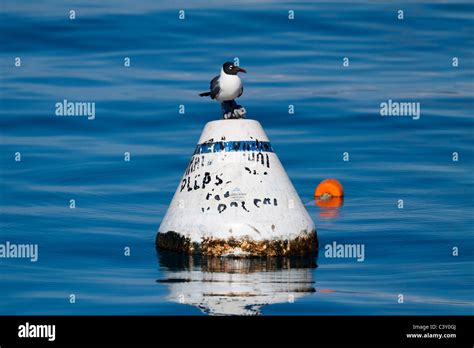 Orange Mooring Buoys Hi Res Stock Photography And Images Alamy