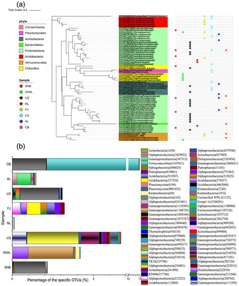 Taxonomic Information And Abundance Of Otus Representing The Active Phe