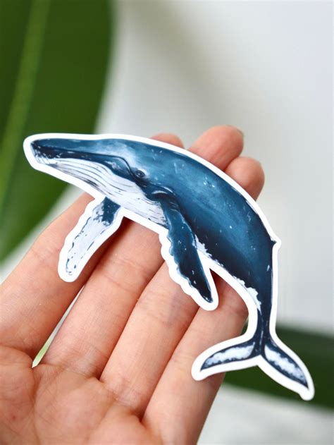 Humpback Whale Vinyl Sticker I Whale Sticker Glossy Vinyl Etsy