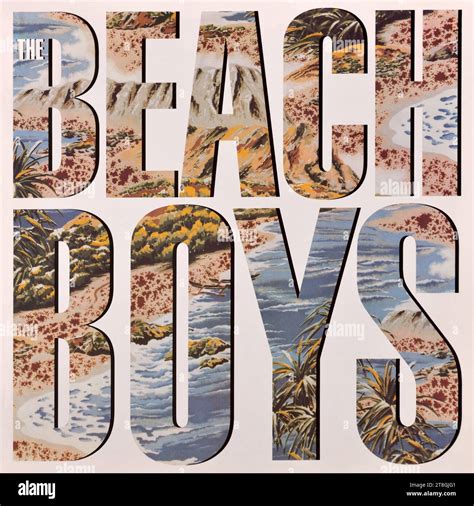 The Beach Boys Original Vinyl Album Cover The Beach Boys 1985