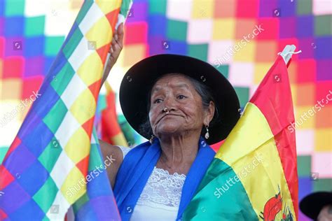 Citizens March Defense Indigenous Wiphala Flag Editorial Stock Photo - Stock Image | Shutterstock