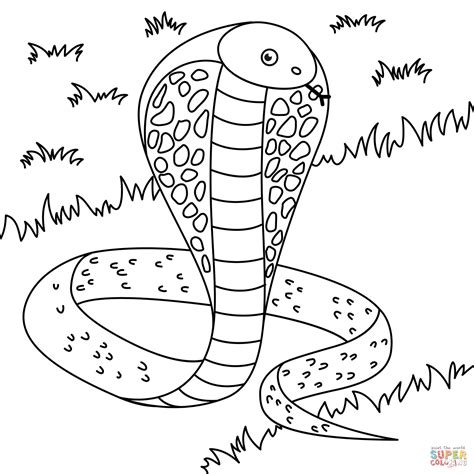 Desenho De Cobra Para Colorir Desenhos Para Colorir E Imprimir Gratis