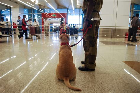 Medical Examiner Reveals Shocking New Truth In Case Of Airport Worker