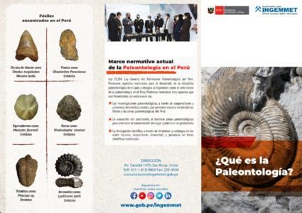 Repositorio Institucional INGEMMET Qué es la paleontología