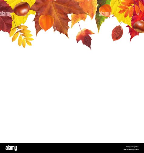 Autumn Leaves Border Stock Photo - Alamy