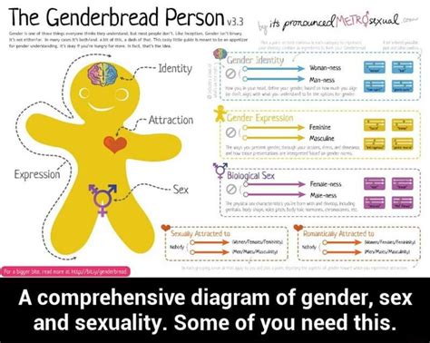 A Comprehensive Diagram Of Gender Sex And Sexuality Some Of You Need