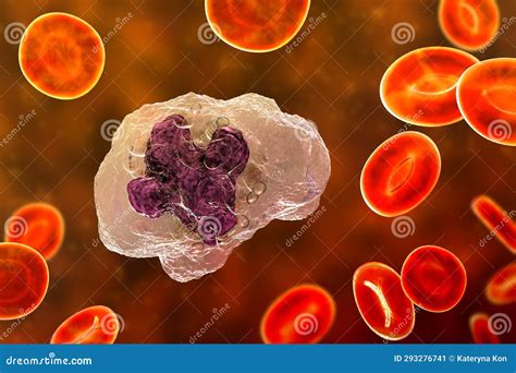 A Macrophage Cell 3d Illustration Stock Illustration Illustration Of