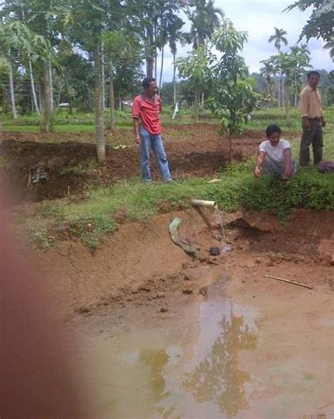 Cara Membuat Kolam Tanah Untuk Budidaya Ikan Binatang Peliharaan