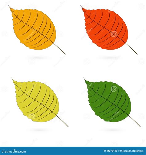 Four Autumn Leaves Of Different Color Raster Stock Illustration Illustration Of Forest