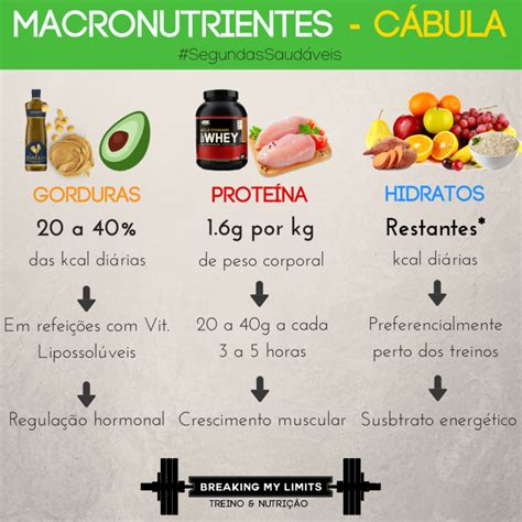 Macronutriente Quanta Proteína Hidratos E Gordura