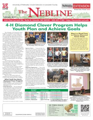 Fillable Online Lancaster Unl H Diamond Clover Program Helps Youth