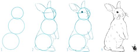 Comment Dessiner Un Lapin Crayons Et Pinceaux