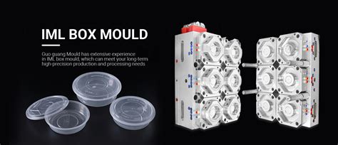 Thin Wall Food Container Mold Plastic Injection Mold Maker