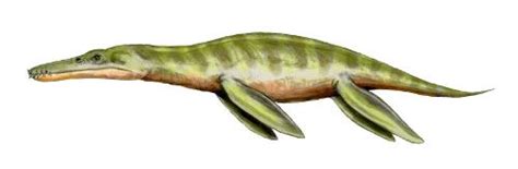 10 Facts About Liopleurodon Less Known Facts