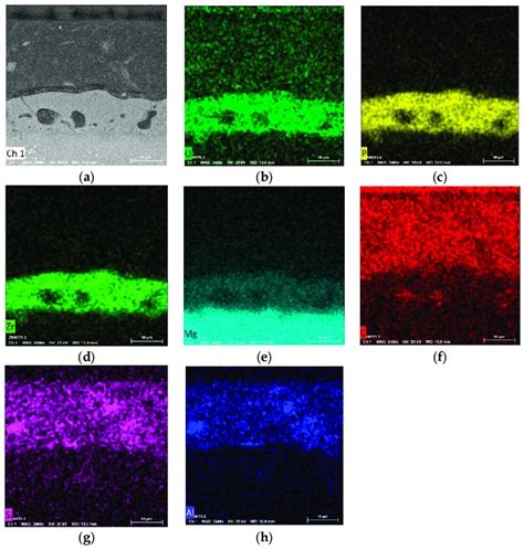 Sem Eds And X Ray Eds Elemental Maps Of A Polished Cross Section Of The