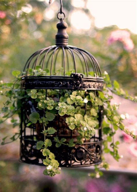 10 Ways To Use Birdcages In Your Home Decor Hanging Plants Bird Cage Decor Birdcage Planter