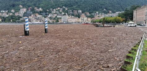 Enorme Distesa Di Detriti Davanti A Como Il Povero Bat Spaz Non Ce La