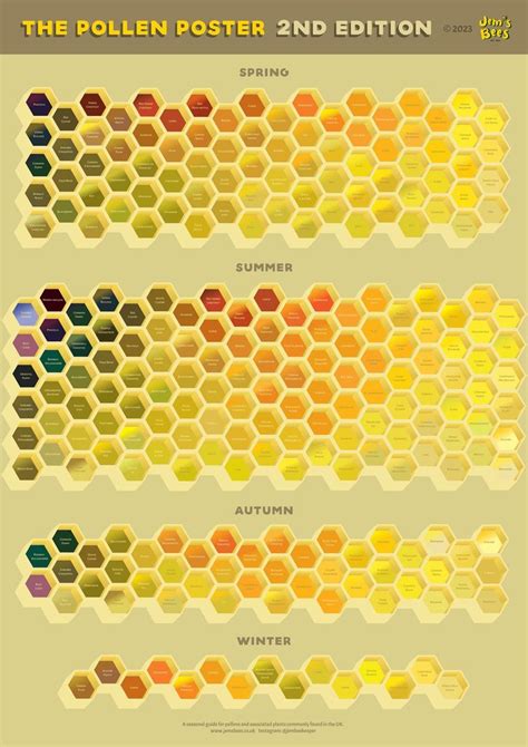 The Pollen Poster 2nd Edition UK Pollen Identification by Jem's Bees ...