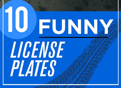 10 Funny customized license plates you have to see for yourself - CityLocs