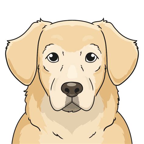 draw  golden retriever face  easy drawing tutorial