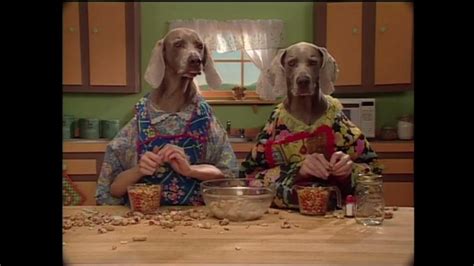 Sesame Street Wegman Dogs Peanut Butter And Jelly Sandwiches 1999