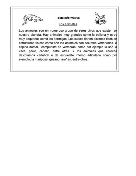 Texto Informativo, sobre los animales | PDF