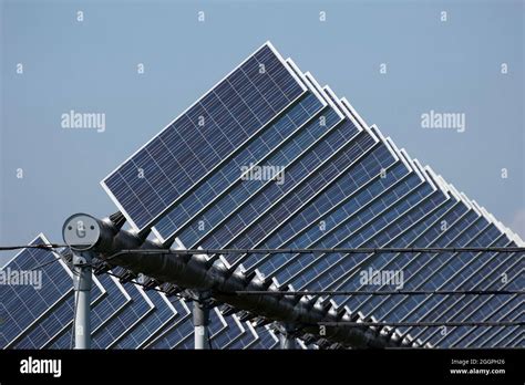 Agrivolt Icos O Agrofotovoltaicos Est N Codesarrollando La Misma