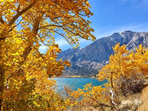 Best Hikes in Inyo National Forest (CA) - Trailhead Traveler