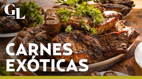 Sabías que en Australia comen carne de canguro 5 carnes exóticas que