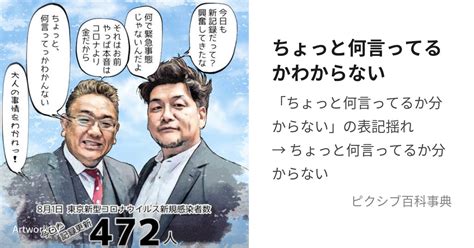 ちょっと何言ってるかわからない ちょっとなにいってるかわからないとは【ピクシブ百科事典】