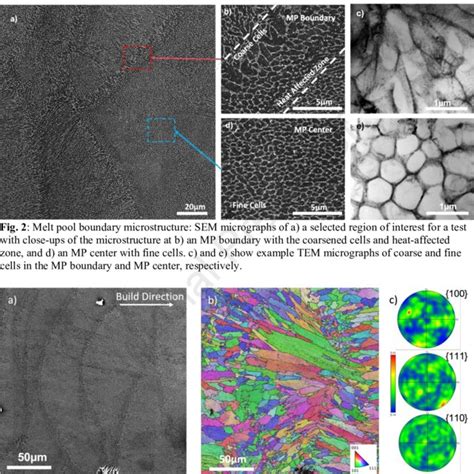 As Built Microstructure A Sem Micrograph Of An In Situ Region Of