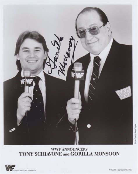 Tony Schiavone And Gorilla Monsoon Steve And Tony Bobby Heenan Wwf