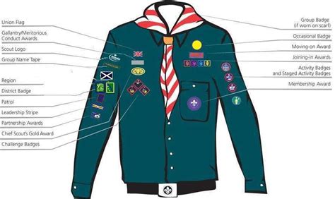 Badge Placement | Scouts | 17th West Lothian Scout Group