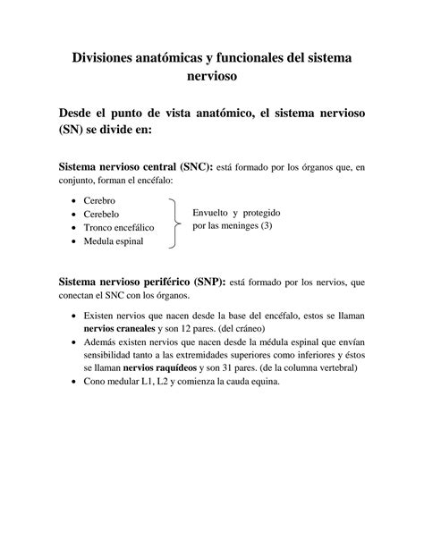 Solution Resumen Sistema Nervioso Y Endocrino Studypool