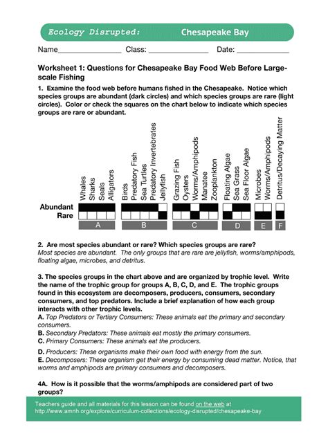 Chesapeake Bay Food Web Worksheet Answers Fill Out Sign Online