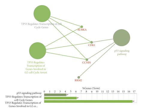 Kegg Pathway Coexpression Network And Druggene Interaction Analysis